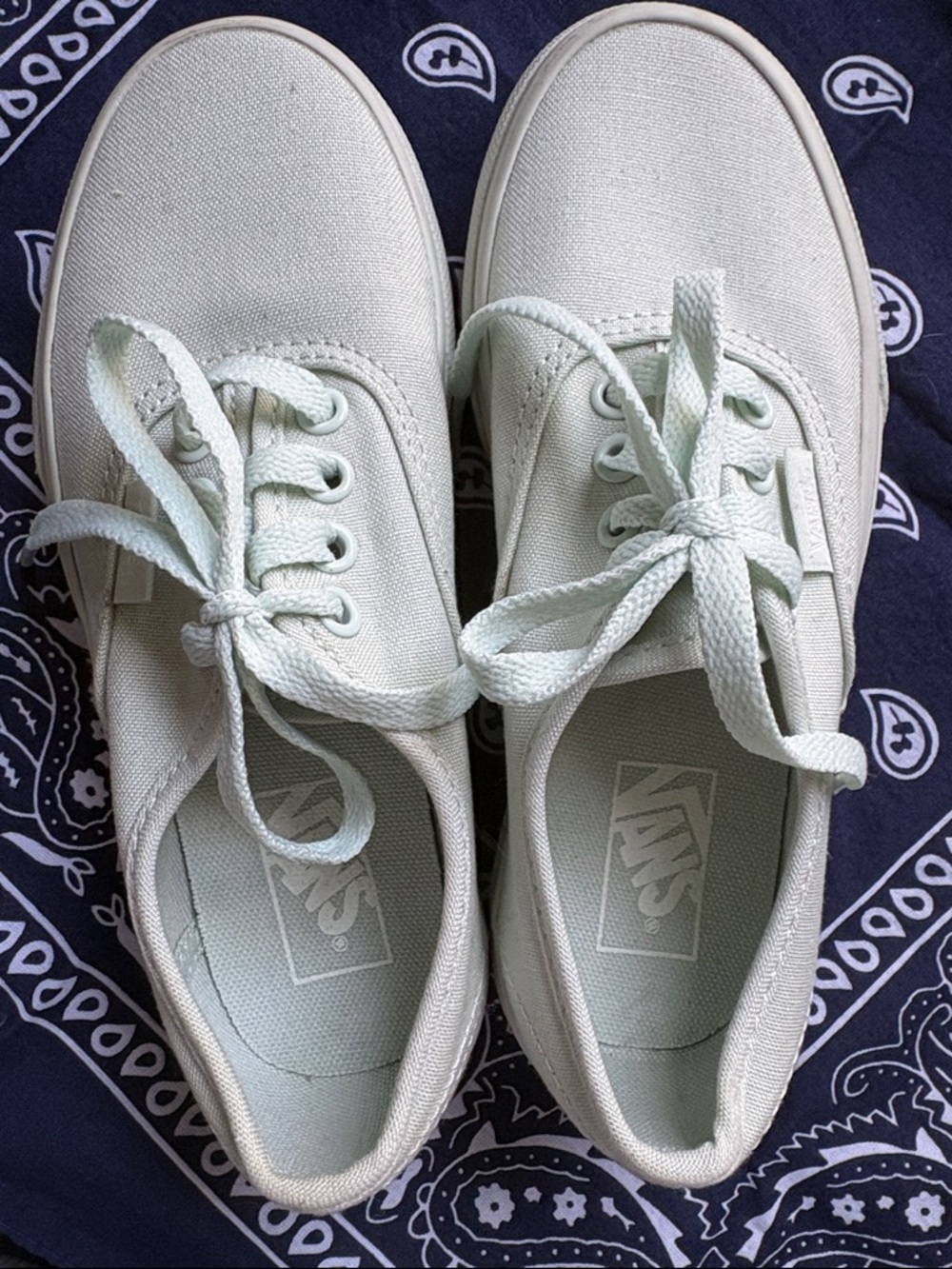 Vans Low-Top Canvas Sneakers in Mint Green